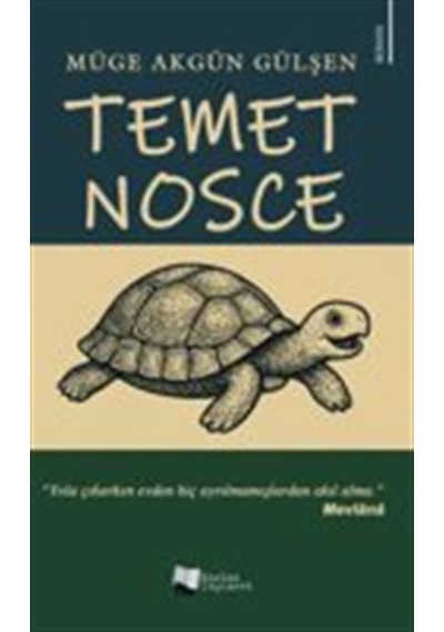 Temet Nosce / Müge Akgün Gülşen
