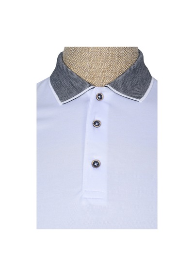 Cengiz İnler Polo Yaka Kısa Kollu Erkek T-shirt Çok Renkli