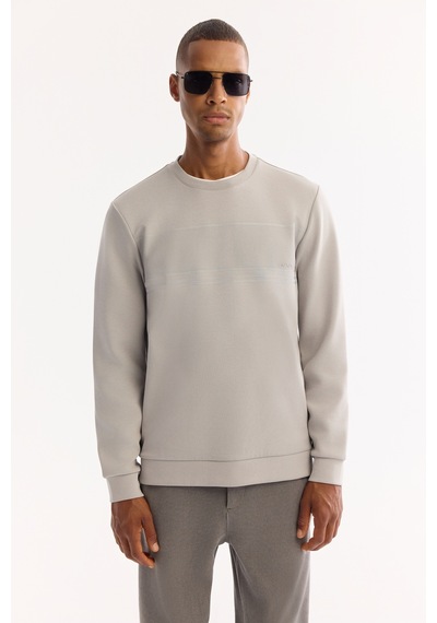 Avva Erkek Siyah Bisiklet Yaka Pamuklu Bi-stretch Baskılı Regular Fit Sweatshirt A52y1215 Gri