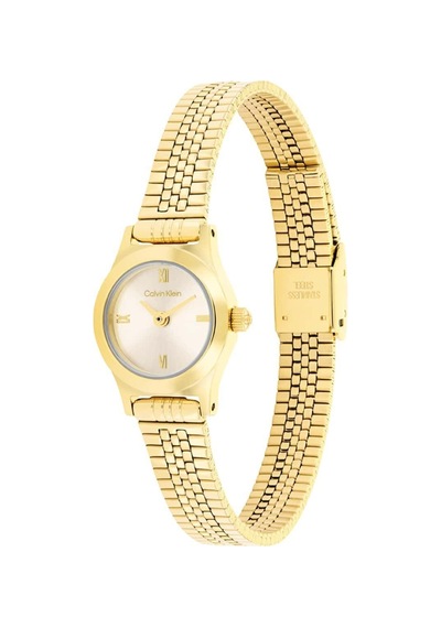 Calvin Klein Ck25100201 Kadın Kol Saati Altın