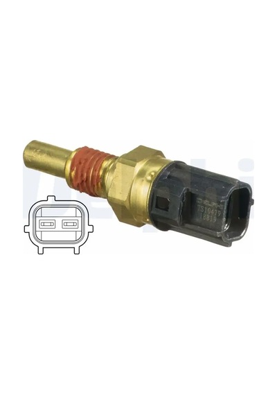 Delphı Ts10479 Hararet Musiri 3857955 5040463 8l3a6g004aa