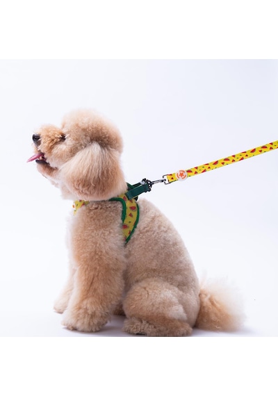 Watermelon Leash Karpuz Desenli Kedi Köpek Sevk & Gezdirme Kayışı Köpek Uzatma Tasması-1,5cm Sarı