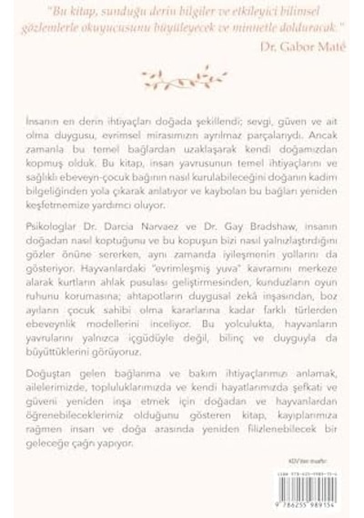 Evrimleşmiş Yuva