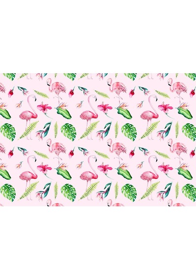 Flamingo Görseli Duvar Kağıdı
