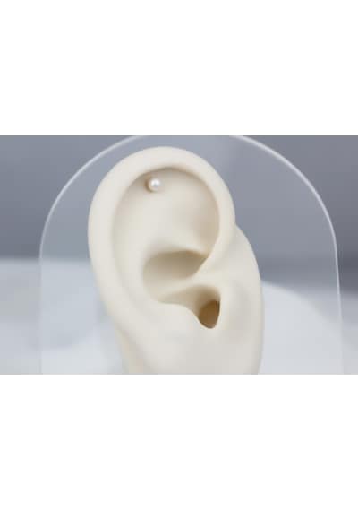 Glorria Altın Inci Helix Piercing