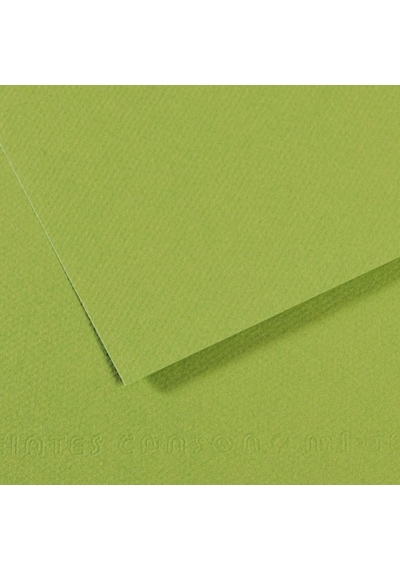Canson Fon Kartonu Dokulu Mı-teıntes Sh Canmt 50x65 160 Gr Grn 475