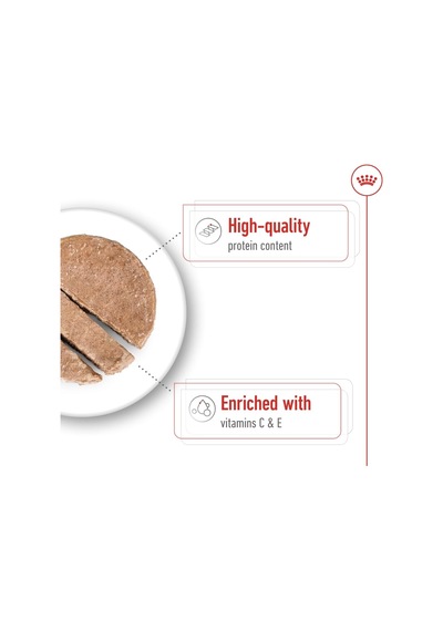 Royal Canin Medium Adult Can Yetişkin Köpek Yaş Maması 410g X 12 Adet