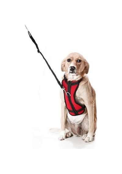 Köpek Araç Emniyet Kemeri Ve Tasması Arnav Kırmızı, L Çok Renkli