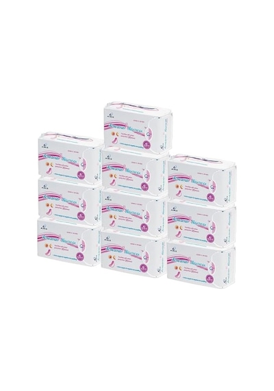Ayrex Airiz 30lu Günlük 10 Paket Hijyenik Kadın Pedi Seti 10 Paket 300 Adet