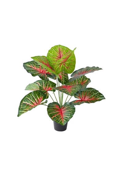 Yapay Çiçek Saksıda Tropik Kızıl Caladium 18 Dal 70 Cm Salon Çiçeği Yapay Bitki