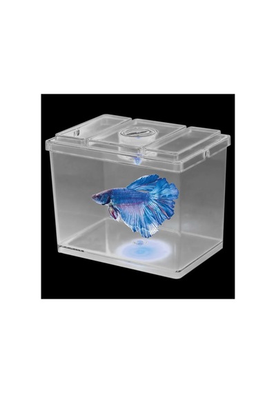 Sobo Mini Betta Kabı