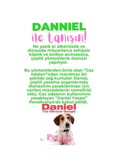 Petjoo 21.Danniel Pembe-Yeşil Qr'lı Köpek Künyesi