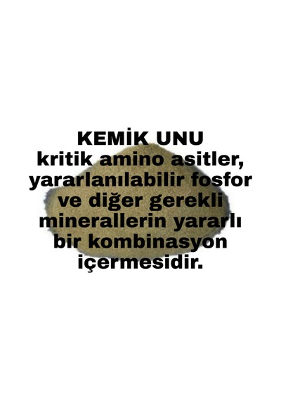 1 Kg Kemi̇k Unu