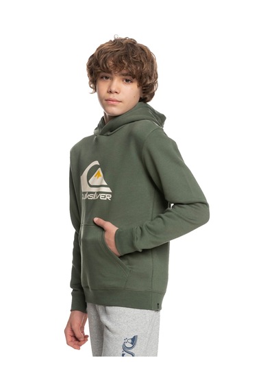 Quıksılver Quiksilver Çocuk Sweatshirt Big Logo Yeşil Günlük Giyim 358 Yeşil