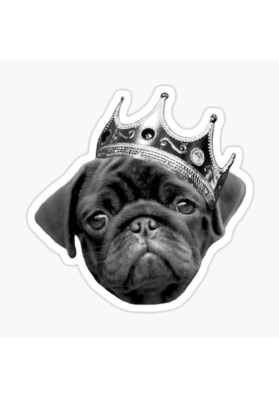 Pug Irkı Cinsi Köpek Sticker Araba Oto Yapıştırması 17Cm Z7