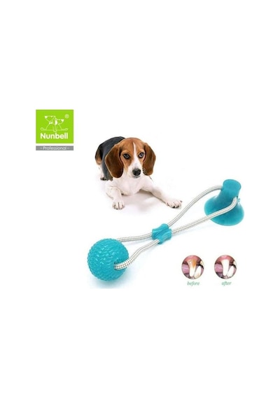 Nunbell Köpek Vantuzlu DişTopu Çok Renkli
