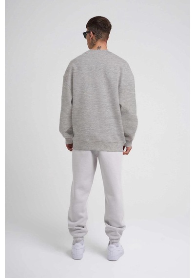 Barlashive Erkek Bisikilet Yaka 3 İplik Pamuklu Sweatshirt - Gri Çok Renkli