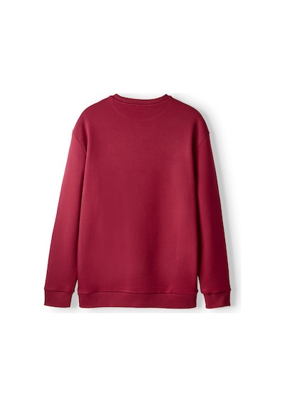 Gsstore Galatasaray Premium Basic Sweat E251139 Bordo