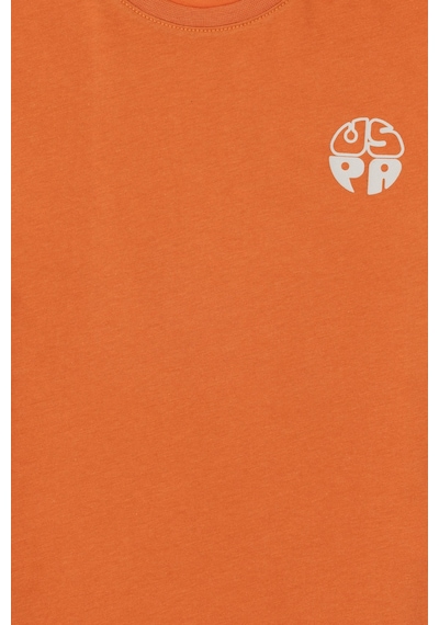 U.S. Polo Assn.  Erkek Çocuk Tarçın Comfort Basic Bisiklet Yaka Tşört 50295503-VR191