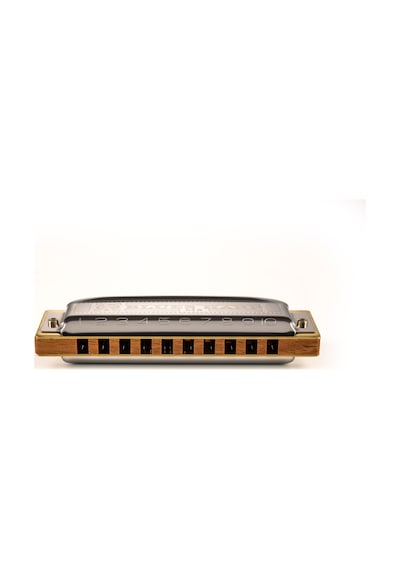 Hohner Blues Harp Ms Do Majör Mızıka