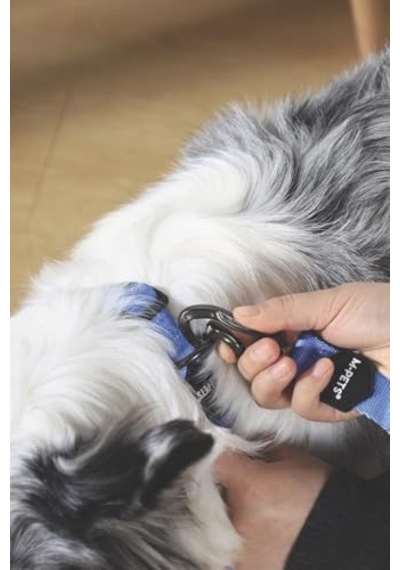 M-pets Gentle Dog Gezdirme Kayışı S Blue