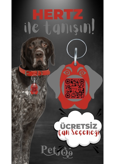 Petjoo 26.Hertz Gri-Kırmızı Qr'lı Köpek Künyesi