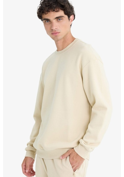 DeFacto Boxy Fit Bisiklet Yaka Basic Düz Pike Sweatshirt E1519AX25SPBG155