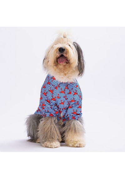 Pawstar Crabs Büyük Köpek Gömleği
