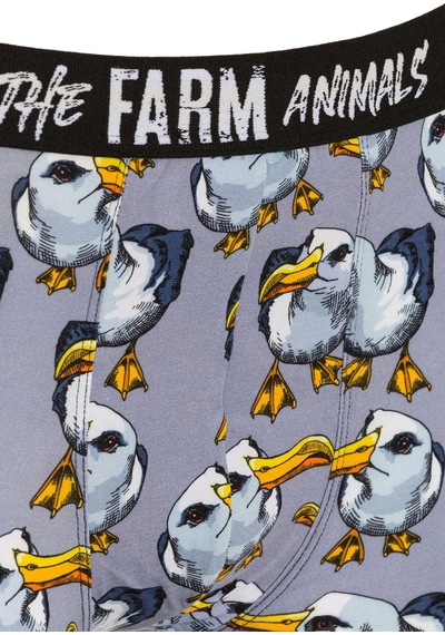 Farm Animals Seagull Desenli Boxer Çok Renkli