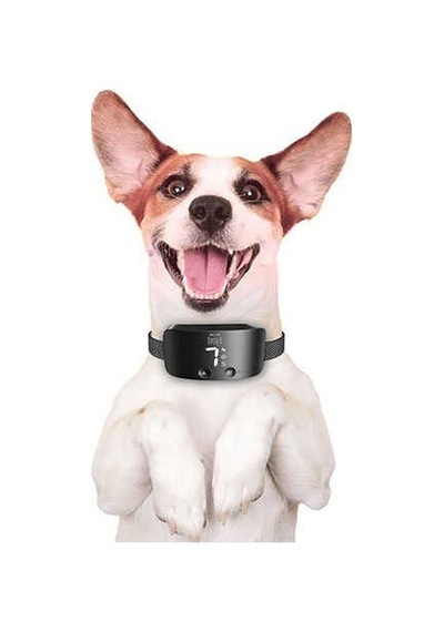 Doggie Havlama Önleyici Eğitim Tasması Siyah