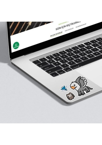 Harry Potter Wizarding World İkon Sticker Seti Warner Bros Lisanslı Hd Baskı