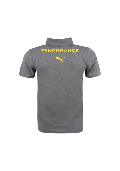 Fenerium Fenerbahçe Orijinal Lisanslı 2024/25 A Takım Yetişkin Polo Yaka Gri T-shirt Gri
