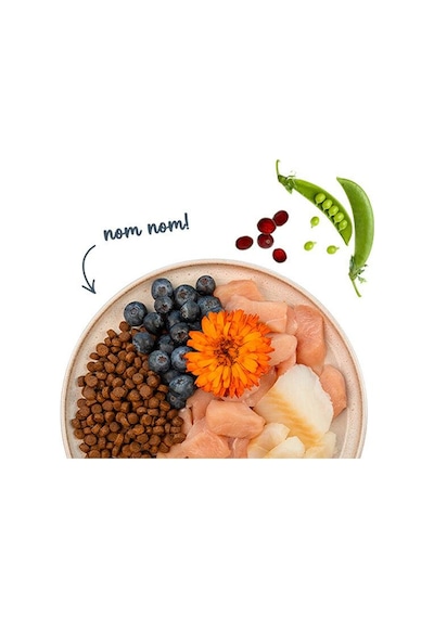 Sanabelle Life Alabalıklı Ve Yaban Mersinli Yetişkin Kuru Kedi Maması 400 Gr