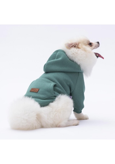 Pettrend Çağla Yeşil Kanguru Cepli Kedi Köpek Hoodie Sweatshirt