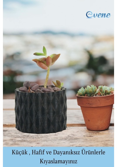 Mini Çiçek Saksı Küçük Sukulent Siyah Kaktüs Saksısı 3'lü Set Baklava Çizgili Model