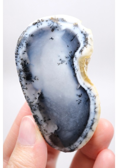 Mist Forest Dendritic Opal Deep Blue And Snowy White Merlinite Specimen