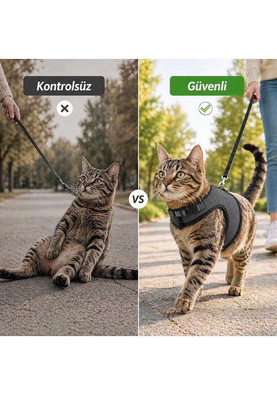3 Kat File Yeni Nesil Nefes Alabilen Kedi Göğüs Tasma 3'lü Set Siyah Siyah L