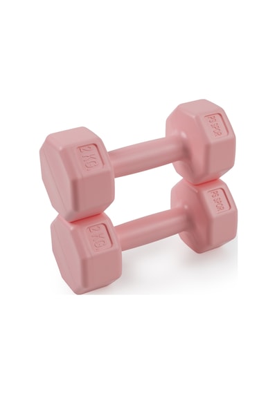 Psspor 2 Adet 2kg Pembe Renk Dambıl Seti 2 Adet 2kg Gönderim Yapılmaktadır