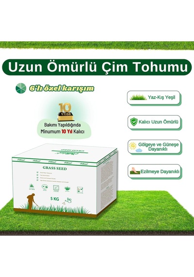 Ayrex Ebitkisel Çok Yıllık Çim Tohumu 5 Kg Uzun Ömürlü 6'li Karışım Gölge Ve Aşırı Güneşli Alan Uygun Ye 0,250