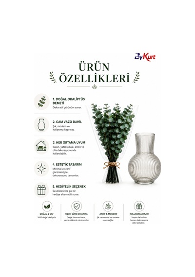 Dekoratif Cam Vazo Ve Doğal Şoklanmış Okaliptus Demeti Seti Şeffaf
