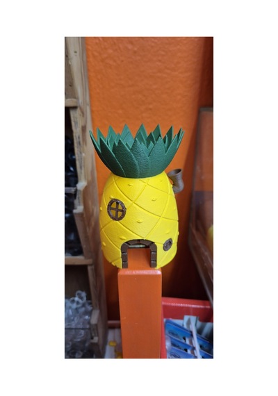 3d Akvaryum Dekoru Ananas