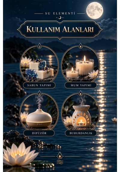 Astroloji Su Elementi Seti 3 Lü Esansiyel Koku Yağı Yengeç Akrep Balık, Difüzör Ve Buhurdanlık Esa Çok Çeşitli