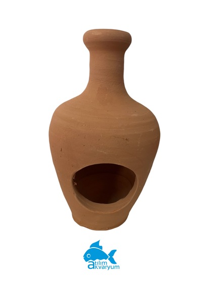 Atılım Akvaryum Delikli Anfora Akvaryum Yavruluğu Akvaryum Dekoru 22 CM