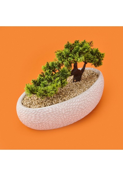 Desenli Elips Saksıda Bonsai - Renkli - 24x33 Cm