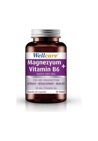 Wellcare Magnezyum Vitamin B6 Takviye Edici Gıda 30 Tablet 869968