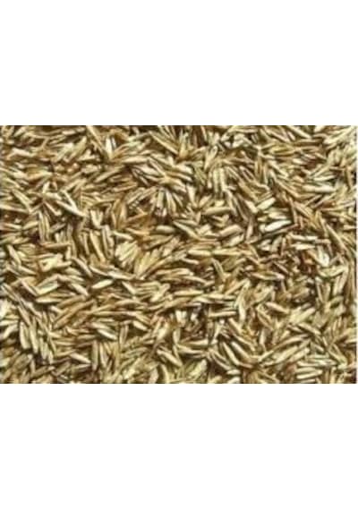Çim Tohumu 7 Karışımlı İthal Çim 10 Yıllık Ömürlü 1KG 85 Tl