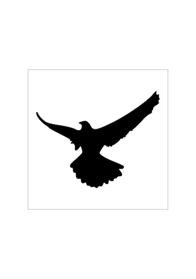Kartal Folyo Sticker Derstv744 60cm Uzunluk Siyah