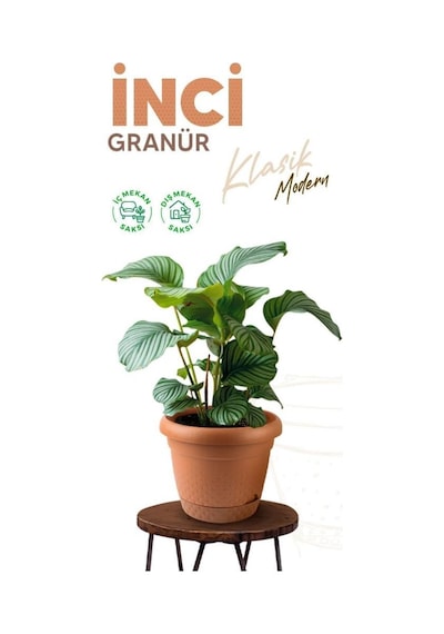 Omnipazar Krs-342 Dekoratif İnci Bitki Çiçek Saksı Takımı 2.2 Litre No 2 Kahverengi