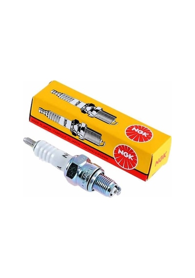 Arora Fredoom 50 Ngk Buji