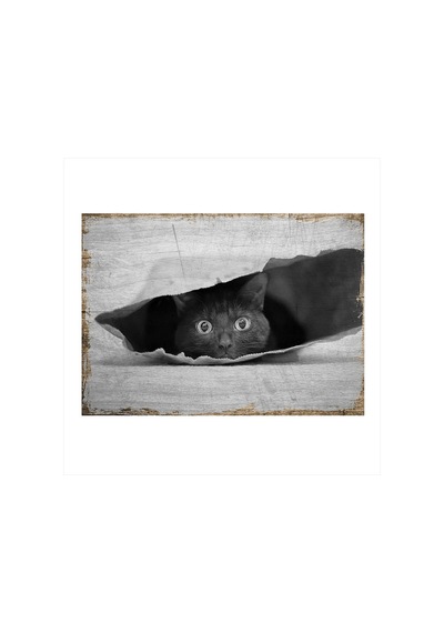 Bedeko Kese Kağıdındaki Siyah Kedi Mdf Poster 35 Cm X 50 Cm